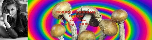 apvp Балабаново