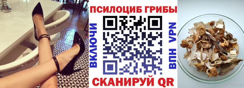 Псилоцибиновые грибы Psilocybine cubensis Купино